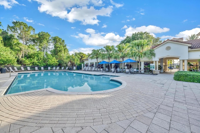 view of swimming pool with a patio