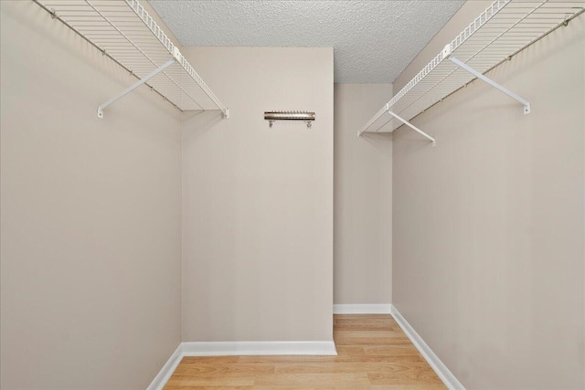 walk in closet with light wood-type flooring