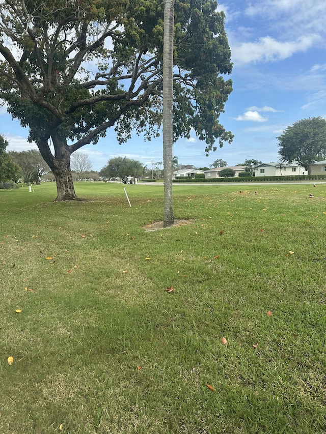 3482 Amalfi Dr, West Palm Beach, FL 33417 - view of grassy yard