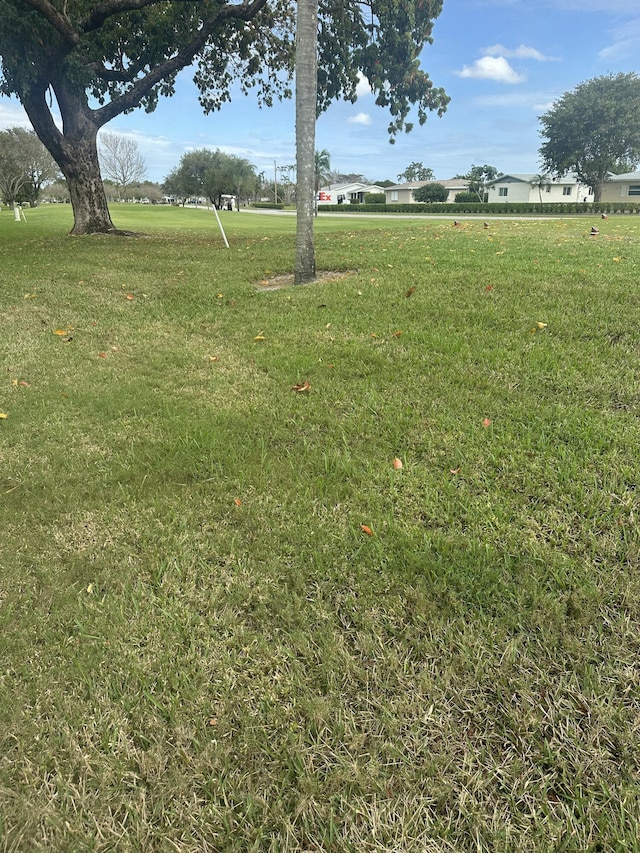 3482 Amalfi Dr, West Palm Beach, FL 33417 - view of green lawn