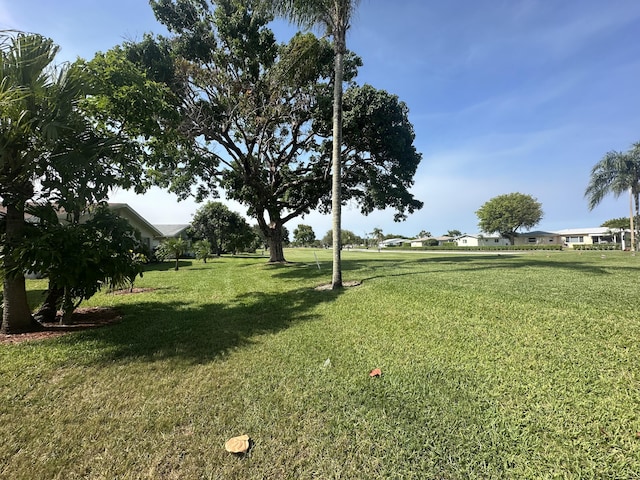 3482 Amalfi Dr, West Palm Beach, FL 33417 - view of green lawn