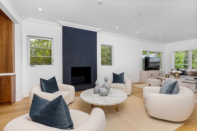living room with ornamental molding, a large fireplace, and light hardwood / wood-style flooring