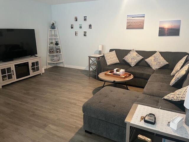 living room featuring hardwood / wood-style flooring