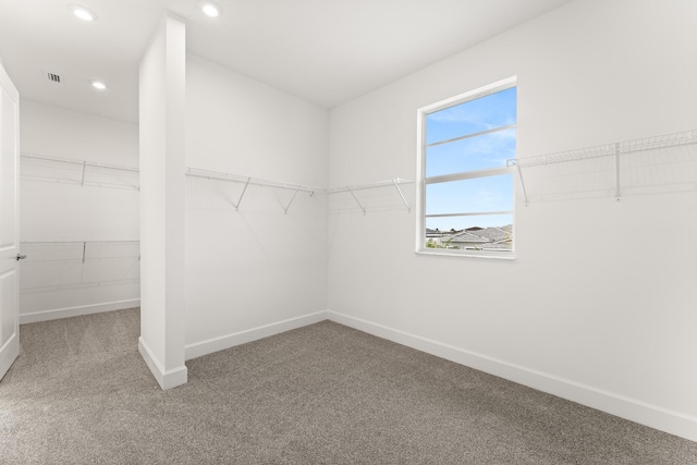 spacious closet featuring carpet and visible vents