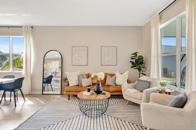 living room with wood finished floors and baseboards