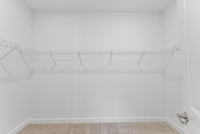 walk in closet featuring carpet floors