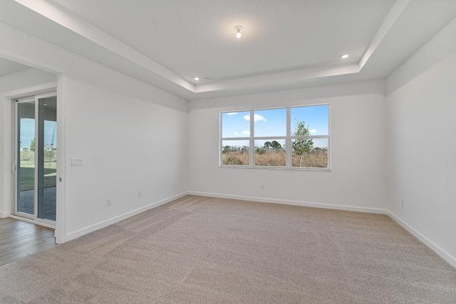 empty room with a raised ceiling and light colored carpet
