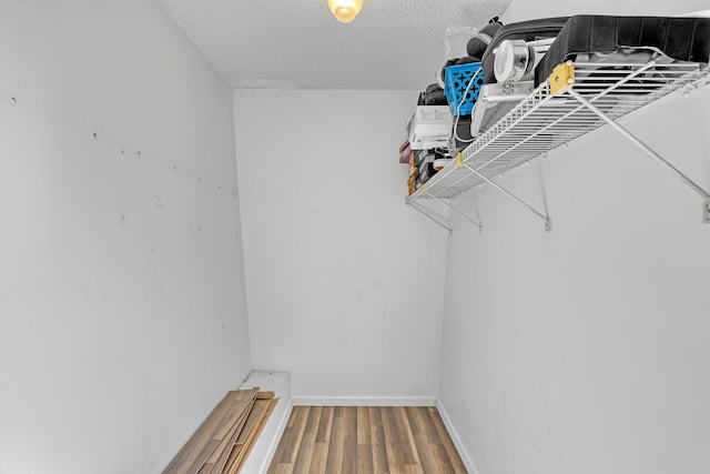 spacious closet featuring wood finished floors