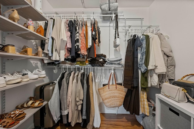 walk in closet with hardwood / wood-style flooring