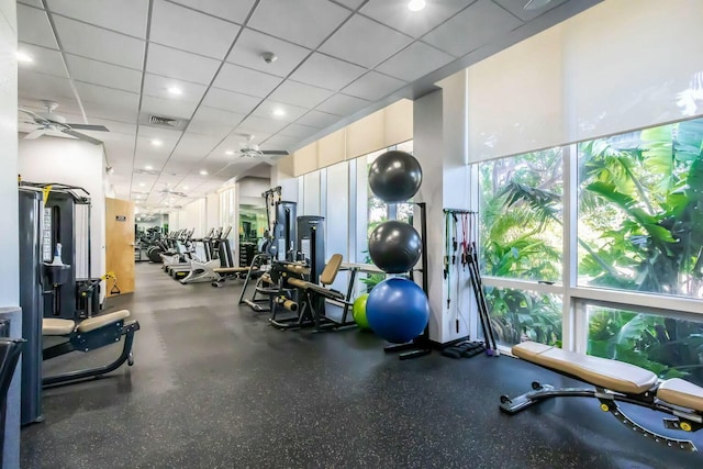 gym with a paneled ceiling, visible vents, and a ceiling fan