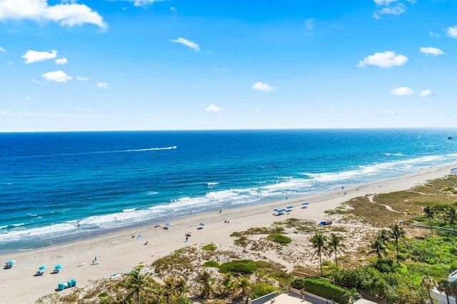 water view with a view of the beach