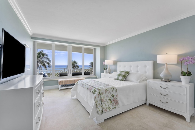 bedroom with radiator heating unit and crown molding