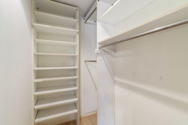 spacious closet featuring wood finished floors