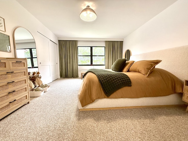 carpeted bedroom with multiple windows