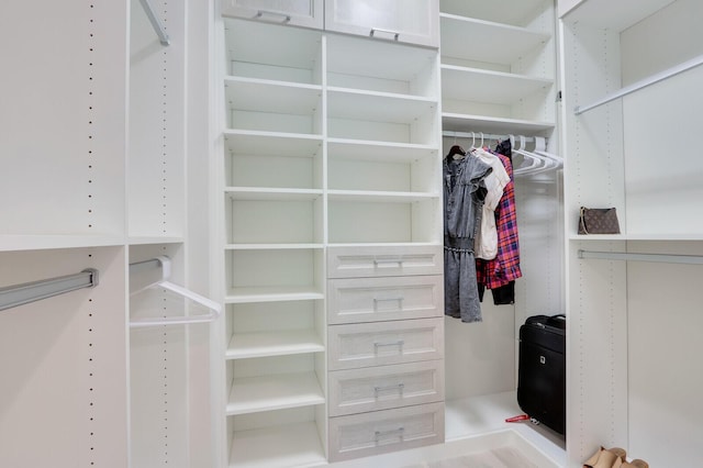 view of spacious closet