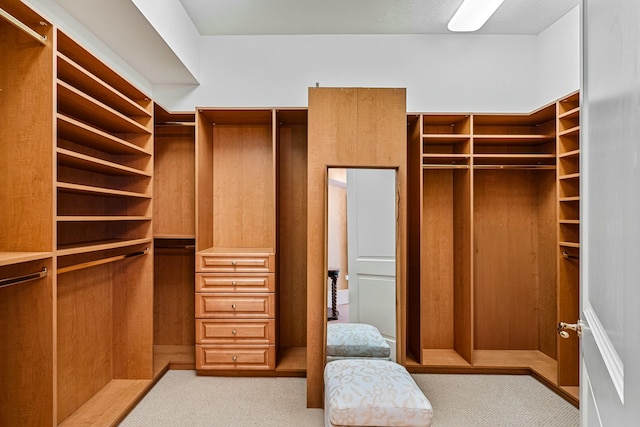 walk in closet featuring light carpet