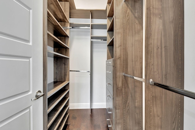 spacious closet featuring dark wood-type flooring