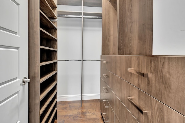 spacious closet featuring dark wood finished floors