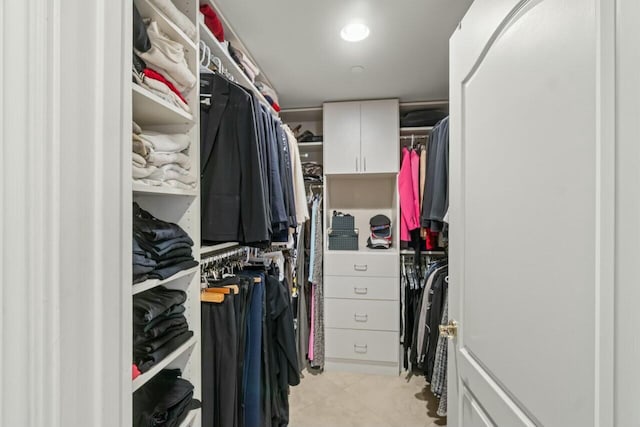 view of walk in closet