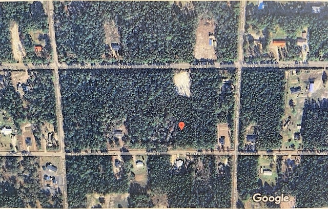 4310 Wanda St, Hastings FL, 32145 land for sale