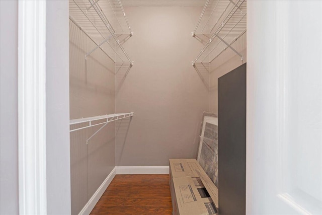 walk in closet with dark wood-type flooring