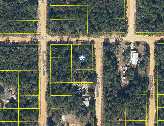 LOT31 David Ave, Interlachen FL, 32148 land for sale