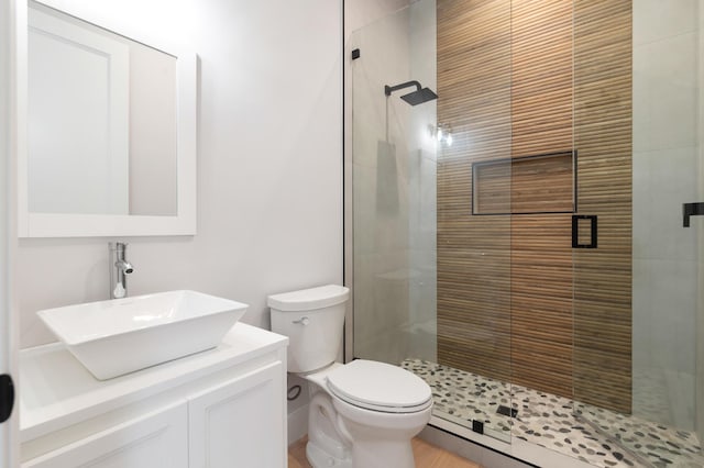 bathroom featuring toilet, vanity, and an enclosed shower