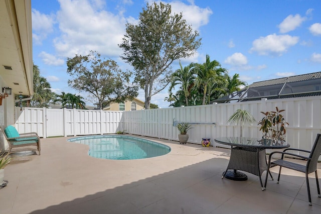 view of pool featuring a patio