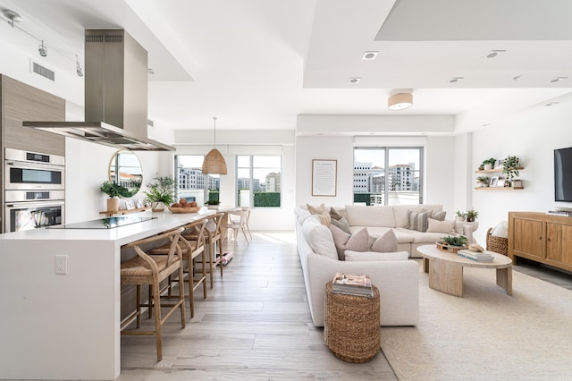 living room with light hardwood / wood-style flooring