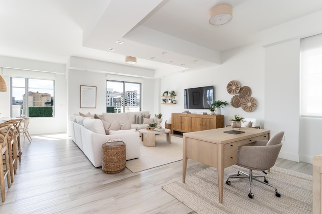 living room featuring a tray ceiling, light hardwood / wood-style floors, and a healthy amount of sunlight