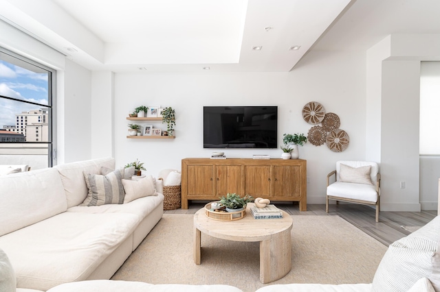 living room featuring light hardwood / wood-style flooring