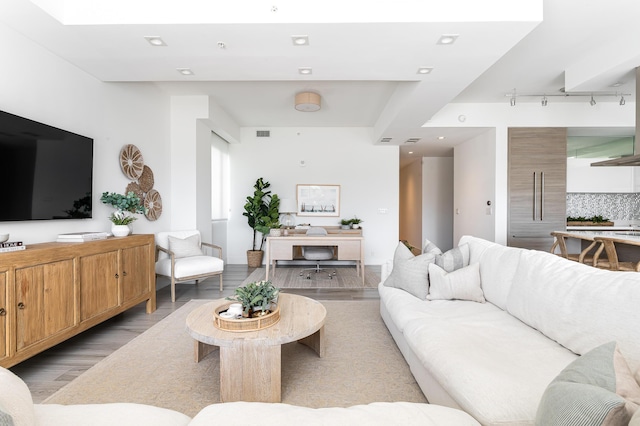 living room featuring light wood-type flooring and rail lighting