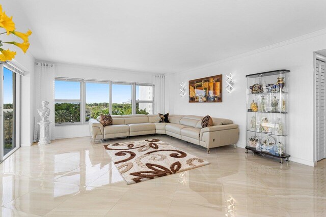 875 E Camino Real Unit 7E, Boca Raton, FL 33432 - living room featuring crown molding