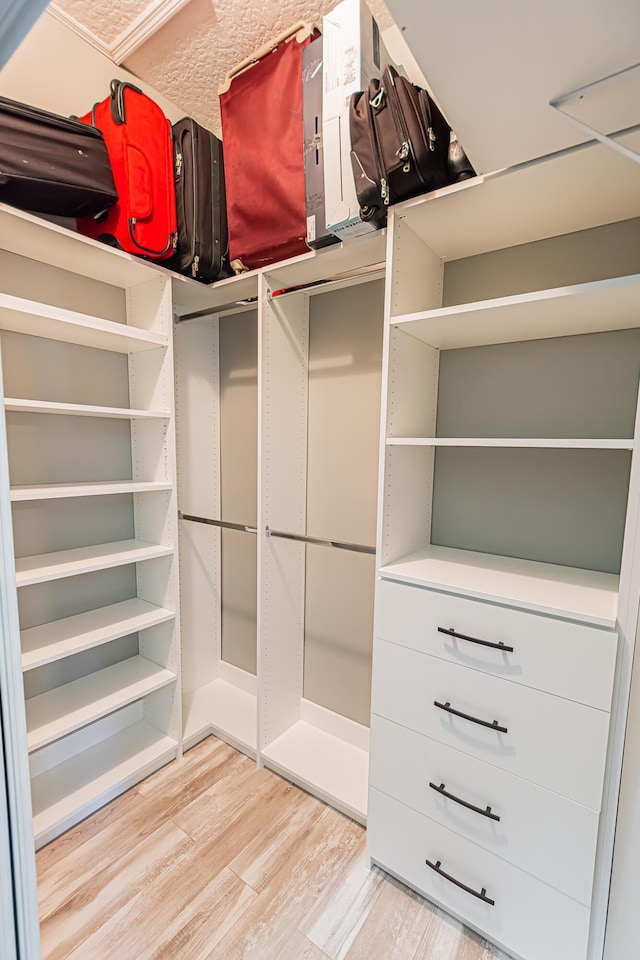 spacious closet featuring light wood finished floors