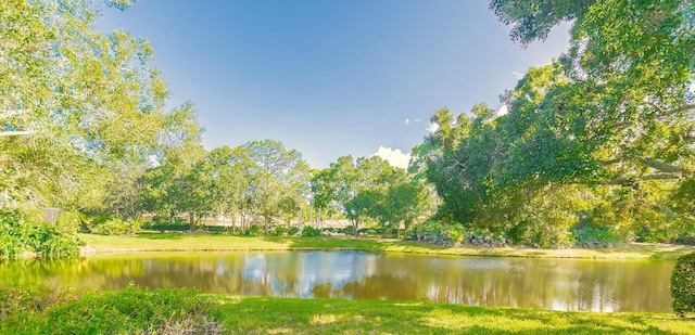 property view of water