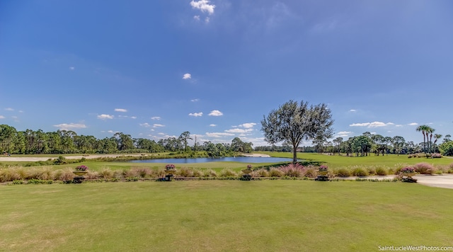 view of property's community with a yard and a water view