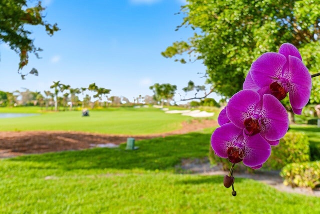 view of home's community featuring a lawn