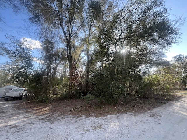 0 SE 143rd, Summerfield FL, 34491 land for sale