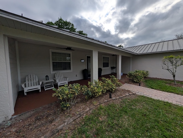 doorway to property featuring metal roof, a porch, a ceiling fan, and stucco siding