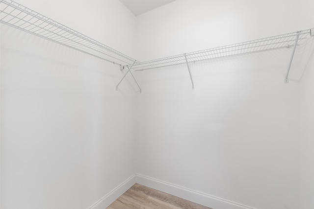 spacious closet featuring light wood-type flooring