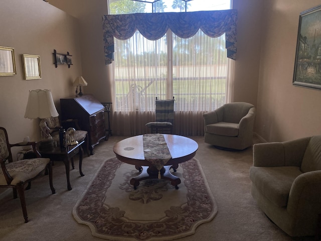 carpeted living room featuring a healthy amount of sunlight