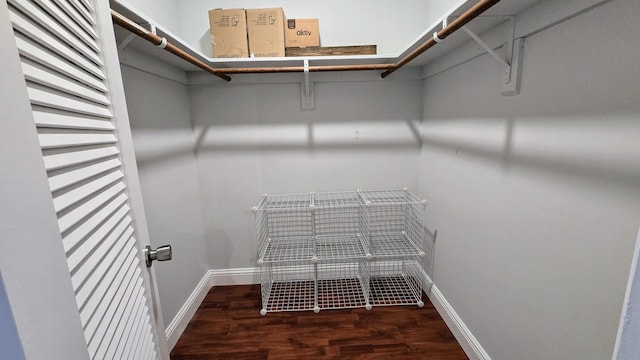 3100 N Palm Aire Dr Unit 604, Pompano Beach, FL 33069 - spacious closet featuring dark hardwood / wood-style flooring