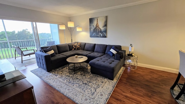 3100 N Palm Aire Dr Unit 604, Pompano Beach, FL 33069 - living room featuring crown molding and dark hardwood / wood-style floors