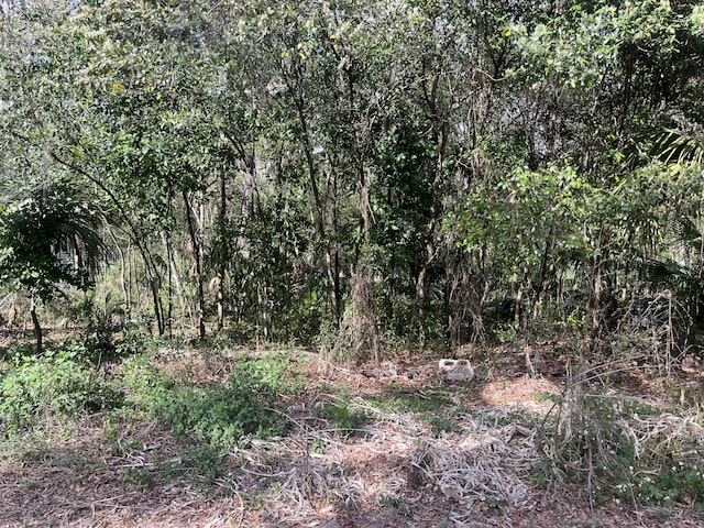 9355 E Tin Pan Aly, Inverness FL, 34453 land for sale