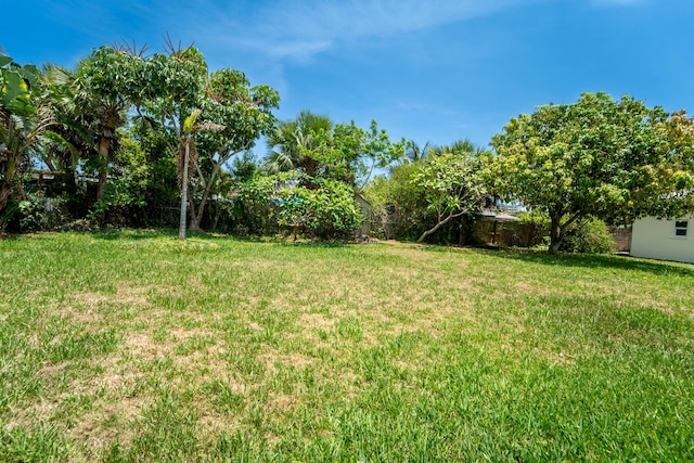 306 Fernandina St, Fort Pierce, FL 34949 - view of yard