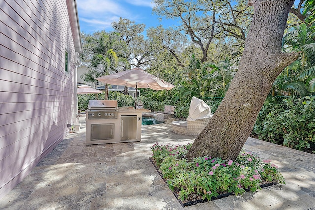 view of patio / terrace featuring area for grilling