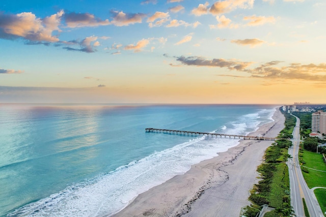 water view featuring a beach view