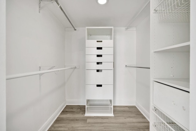 5600 N Flagler Dr Unit 1605, West Palm Beach, FL 33407 - walk in closet with wood finished floors