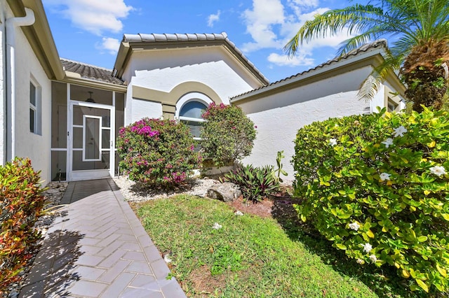 entrance to property with stucco siding and a tile roof