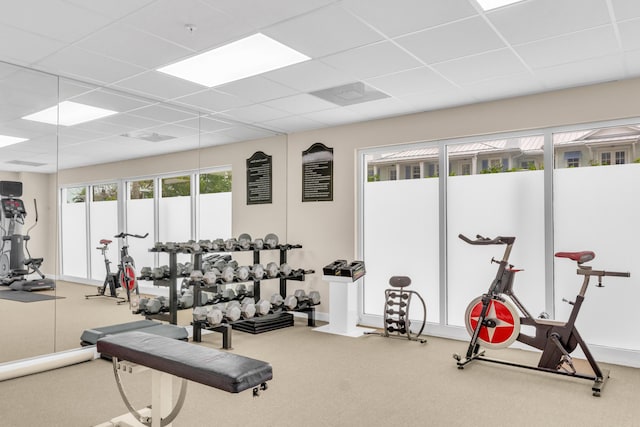 exercise room featuring a paneled ceiling and carpet flooring